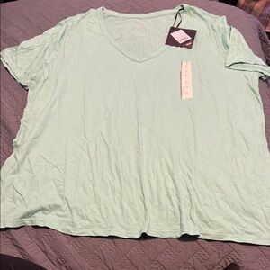 Women's Light turquoise V-Neck Top